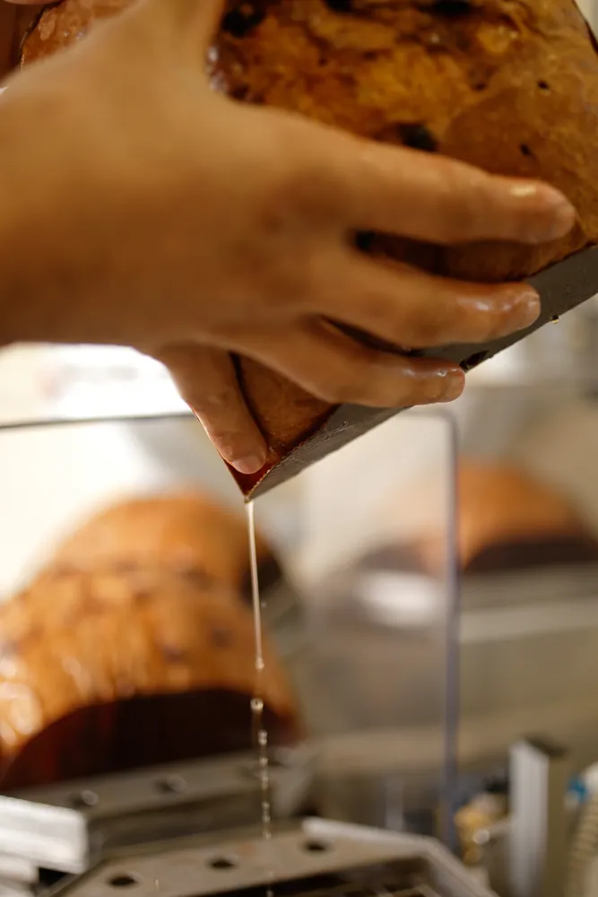 Frisch gebackener italienischer Panettone wird von Hand aus der Backform gehoben